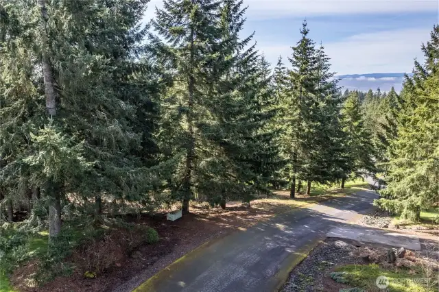 Champion Rd with upscale homes all around