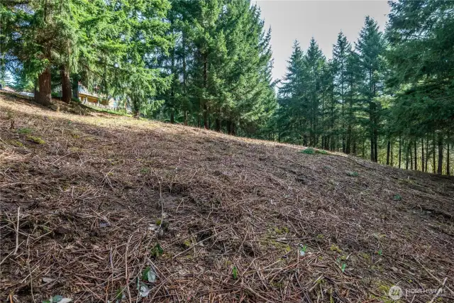 Slight slope where cleared