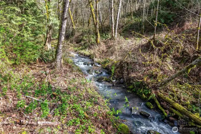 hear the creek from all spots on the property
