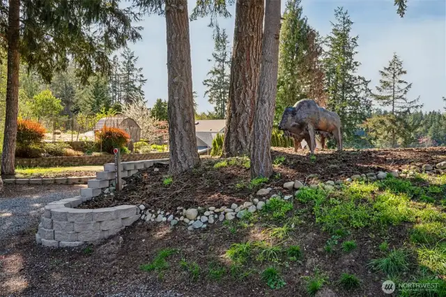 Buster the Bison watches for intruders