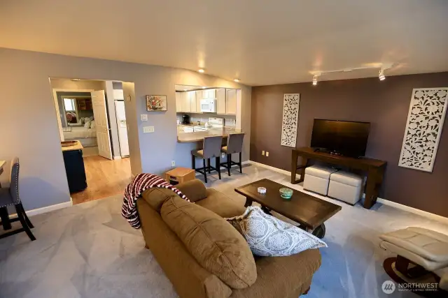 This is the cozy living room in the apartment.