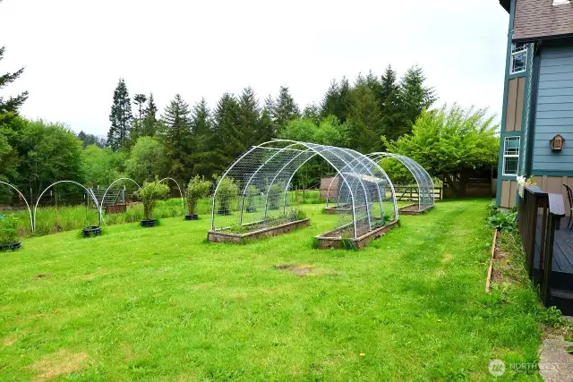 Beautiful backyard, possibilities are endless here.