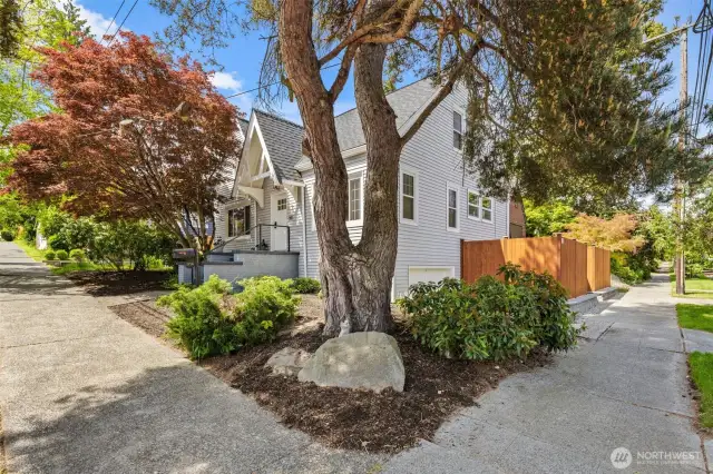 Great corner lot!