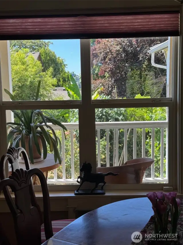 view out dining room