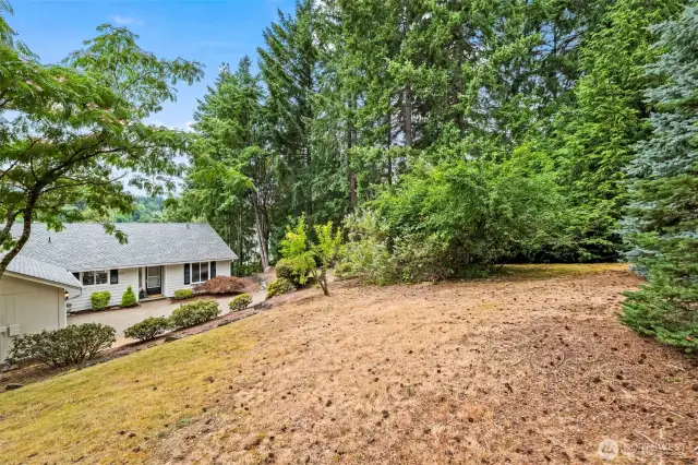 Private backyard surrounded by evergreens and natural beauty
