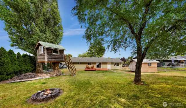 Firepit and tree house