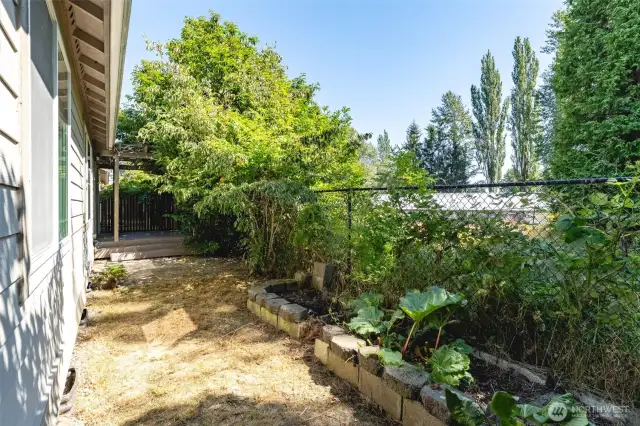 Low maintenance back yard