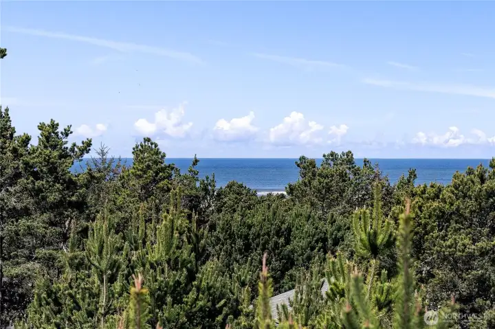 View from the crow's nest