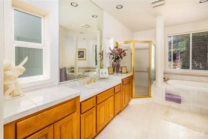 Primary in-suite full bathroom complete with bathtub and walk-in closet.