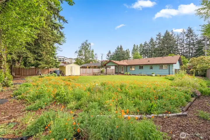 Huge level lot!