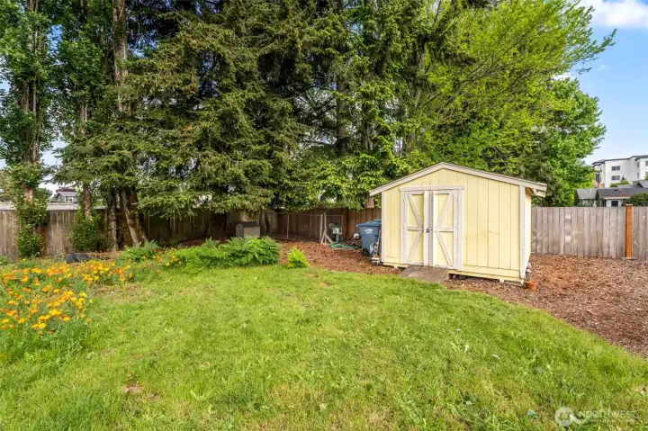 Storage Shed