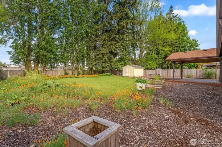 Lovely backyard with wild flowers, backyard fence with gate open to a beautiful Sunset Terrace Park.