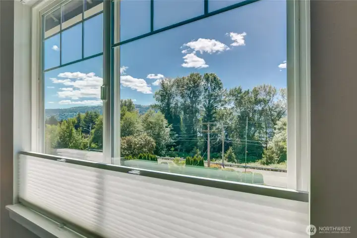 Cougar Mountain views