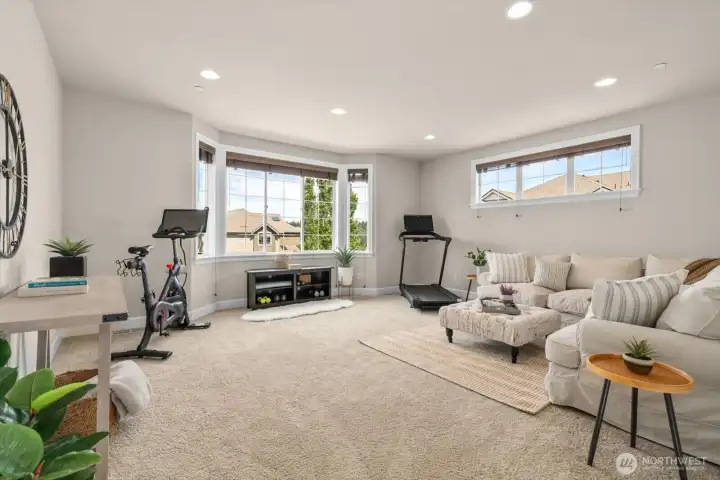 Ideal for gym, media, kids lounge / playroom. Ideal for gym, media, kids lounge / playroom.