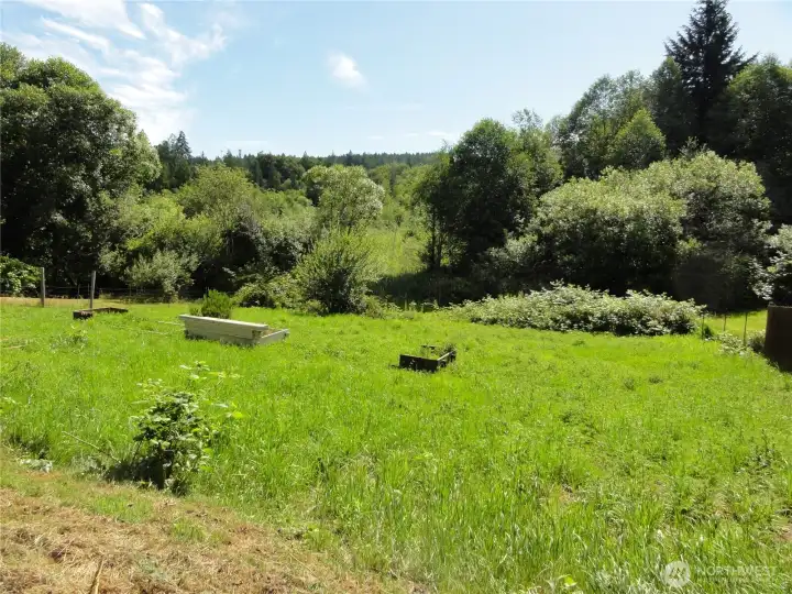 Check out the back yard! Check out the back yard!