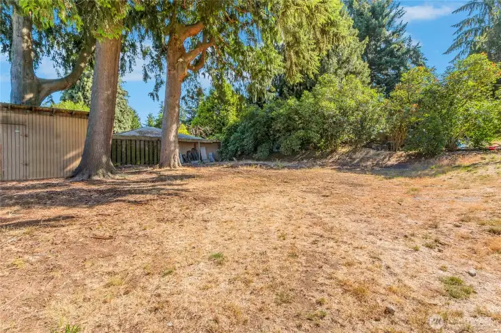huge back yard with mature landscaping