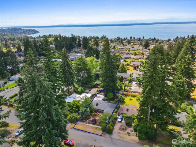 Here the drone camera is looking to the south with Puget Sound and the Olympic Mountains off in the distance.  House is outlined in center bottom of photograph.