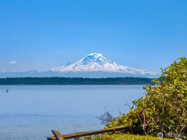 Mt Rainier.