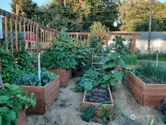 Garden in season