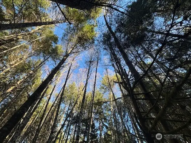 Beautiful view of the open sky