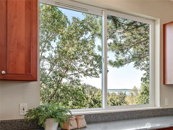Views of Cascades from the kitchen.