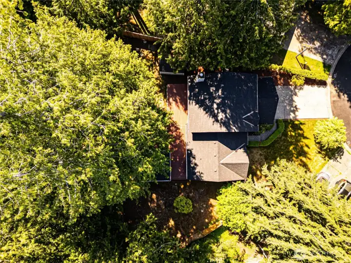 Birds Eye View of Home Birds Eye View of Home