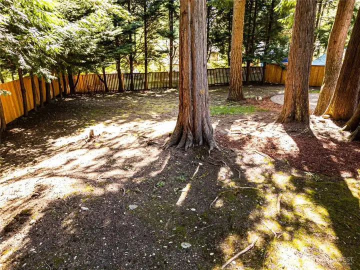 Expansive Backyard Expansive Backyard