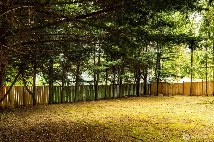 Expansive Backyard
