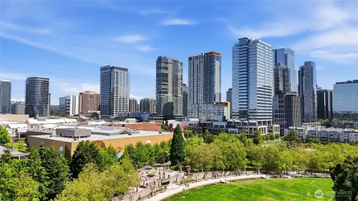 DT Bellevue DT Bellevue