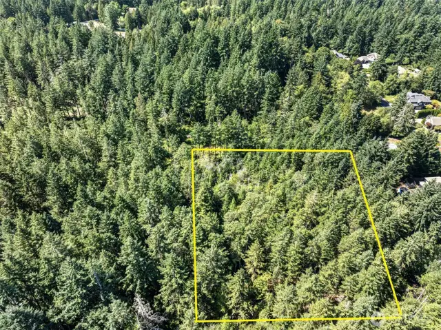 Lovely mostly level 2.47 acres off of Rosedale & 66th Ave. NW in Gig Harbor, WA.