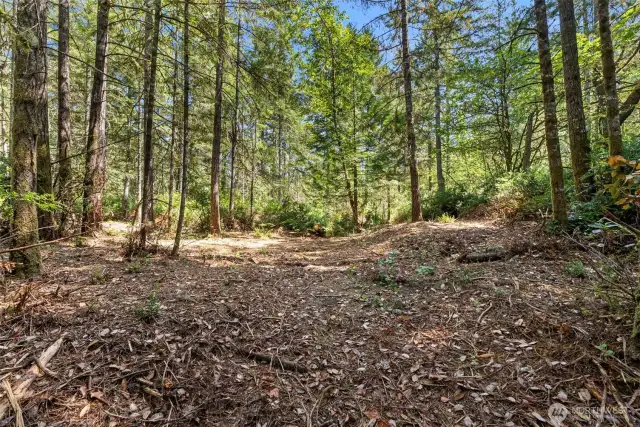 Potential building site on Parcel B.