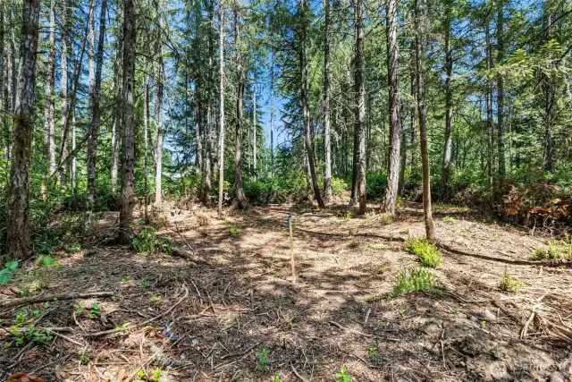 Another view of the potential building site for Parcel B.