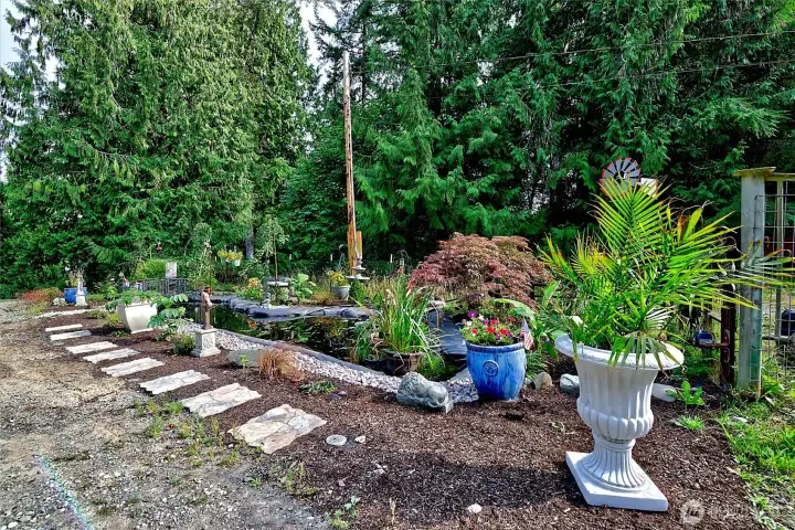 Garden and pond area