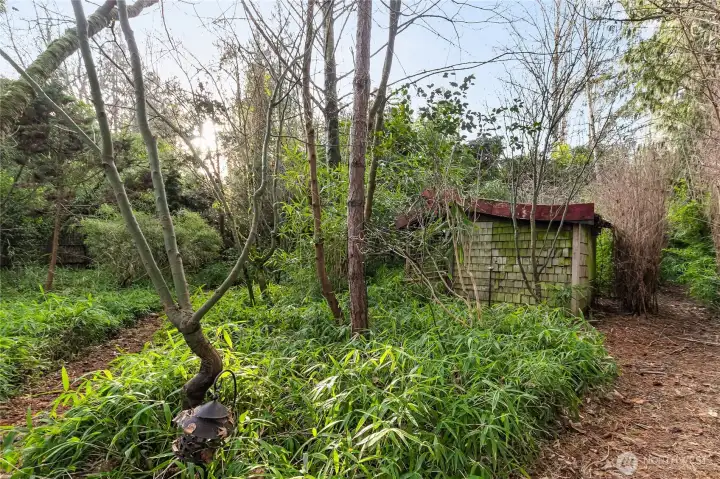 Storage shed in Japanese Garden and sitting area