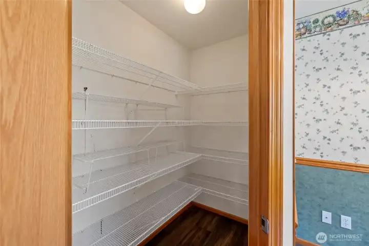 Spacious Walk-In pantry