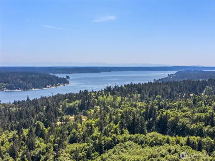 This sweet neighborhood is surrounded by mature trees and so close to the water, without the "water premium" pricing