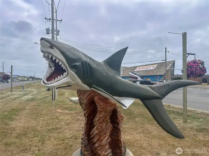 Awesome shark sculpture right outside Sharky's! Notice him in the background.
