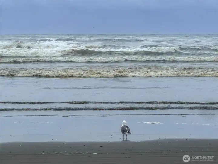 Imagine enjoying the serenity of the Pacific Ocean whenever you wish!