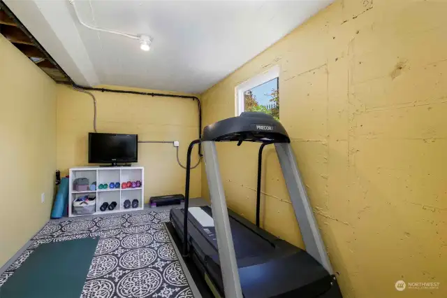 Flex Room. Precor treadmill conveys with home.