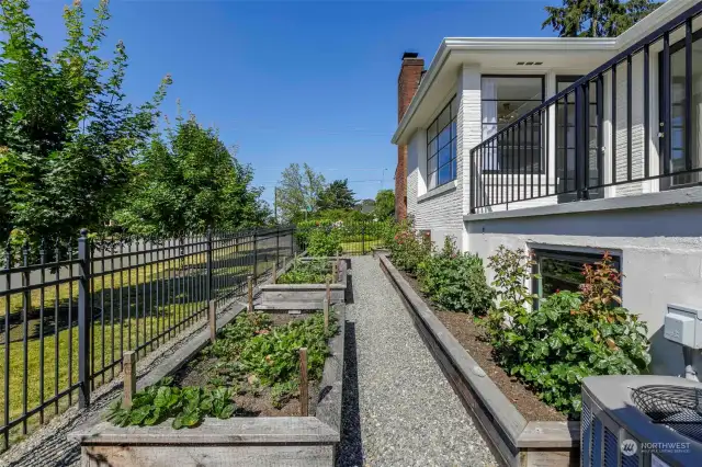 Side yard with raised beds.