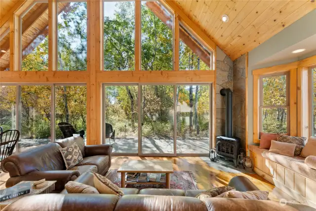 Aspen view from living room.