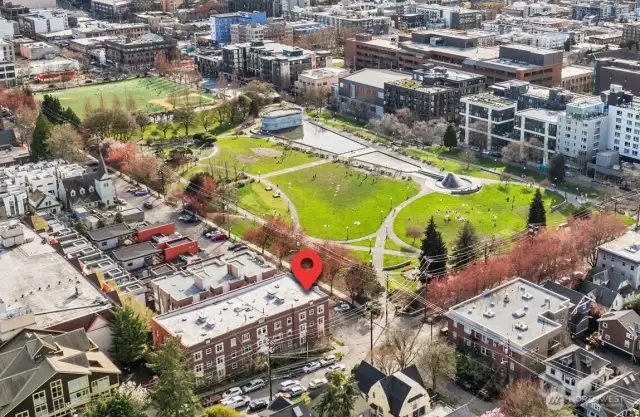 Cal Anderson Park is your backyard!