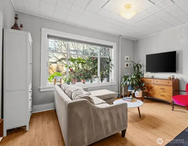 Large Living room and tri-pane window for lots of light