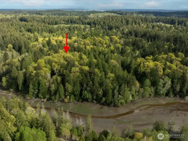 The parcel includes mature trees and natural vegetation as well as small cleared areas to easily walk the property.
