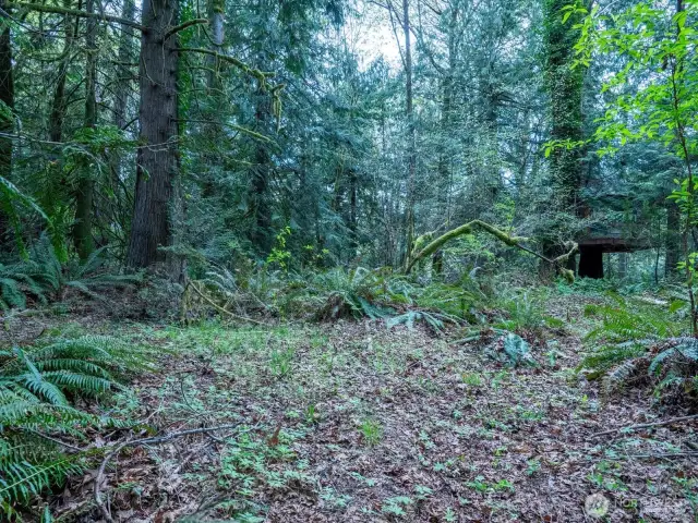 The property includes several level building areas.