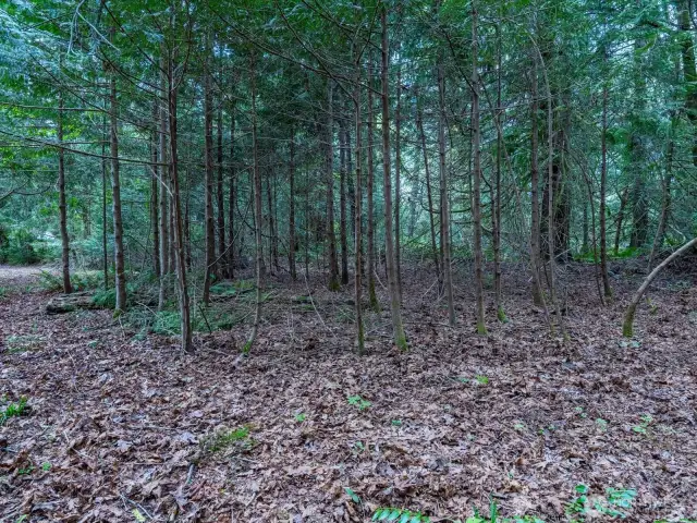 The parcel is situated at the end of a private road for maximum privacy.