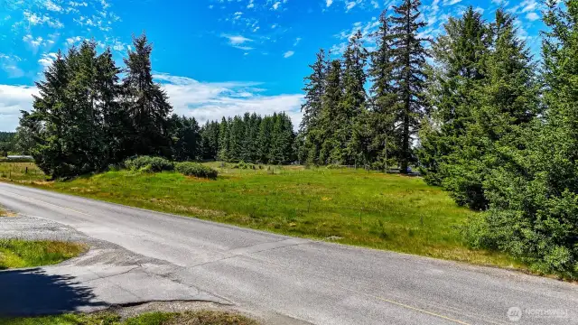 Fully fenced, lush pasture land, dotted with mature evergreens.