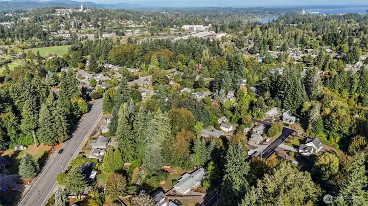 Community view. Capitol building top right and Tumwater hill to the top left of the photo.