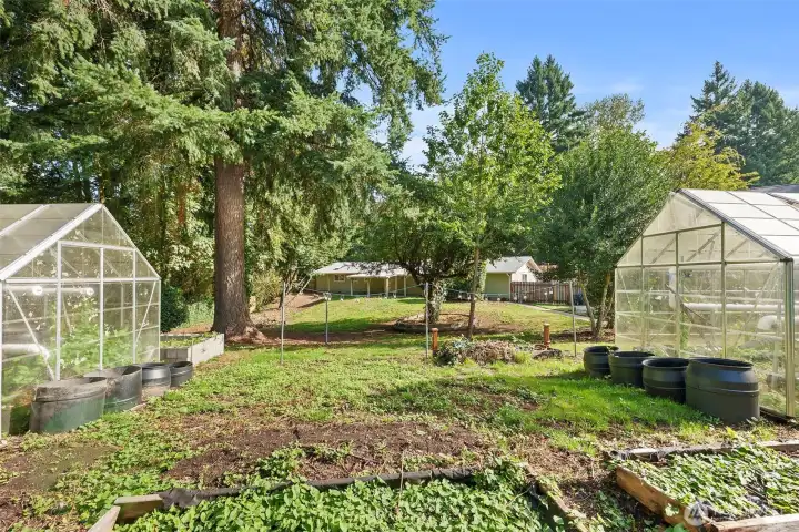 Two massive green houses