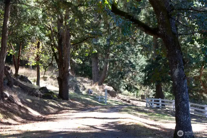 Partially fenced